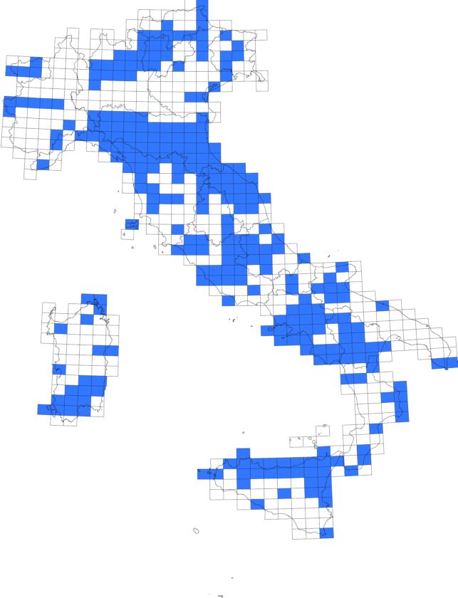 Carta Geologica d'Italia 1:50.000